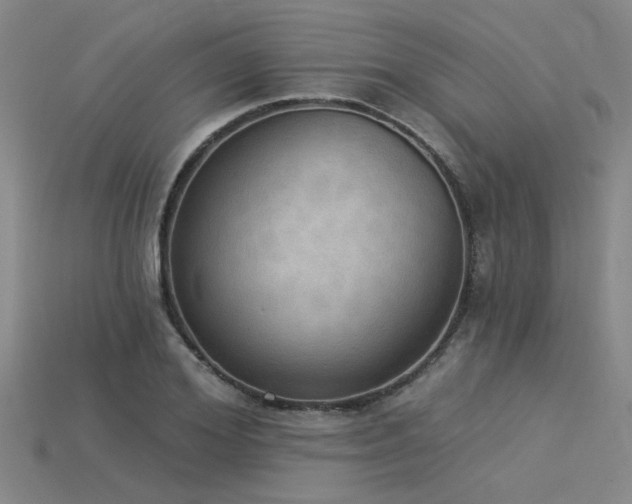 X0000115850980200911131548