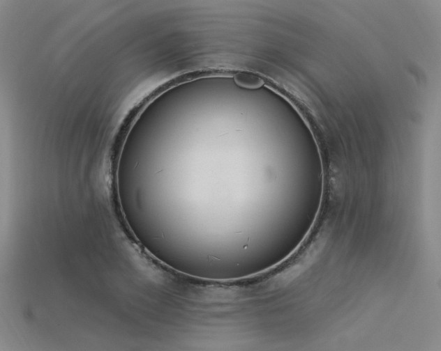 X0000115850981200911131548