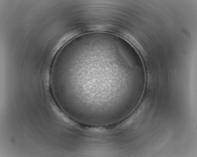 X0000115850994200911131547