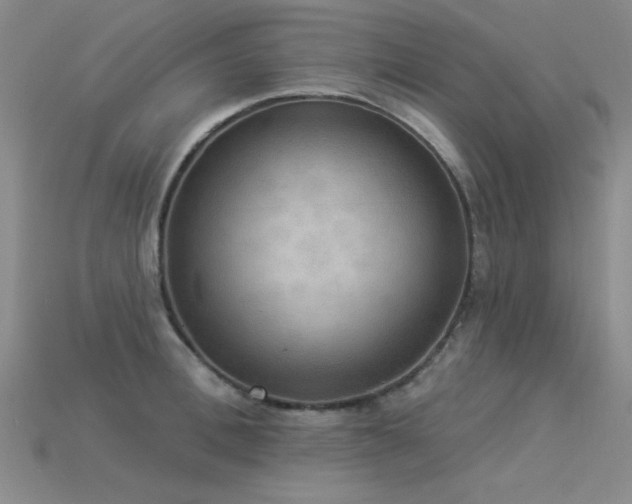 X0000115850996200911131547
