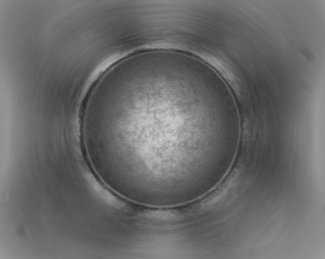 X0000115850998200911131547