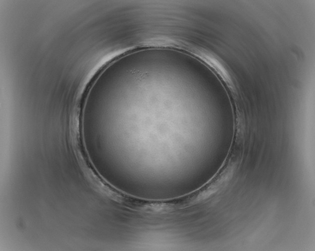X0000115851000200911131547