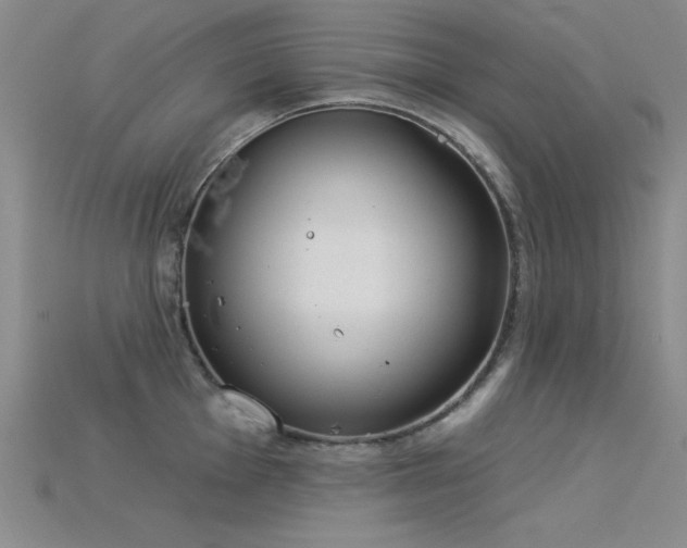 X0000115851001200911131547