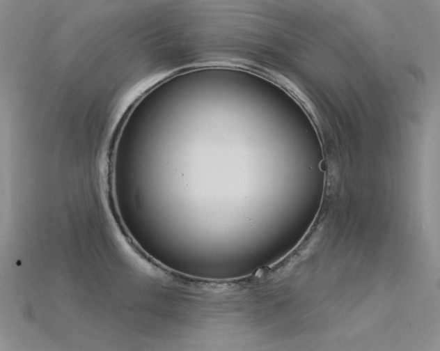 X0000115851003200911131547