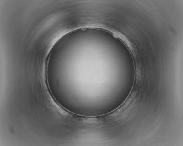 X0000115851006200911131547