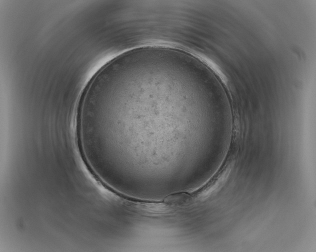 X0000115851007200911131547