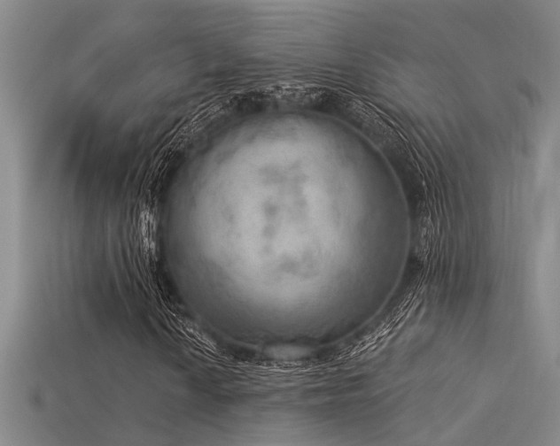 X0000115851010200911131547