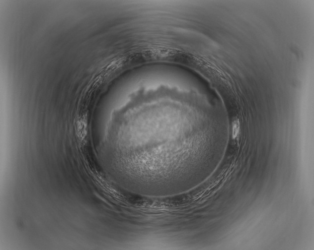 X0000115851011200911131547