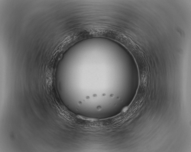X0000115851012200911131547