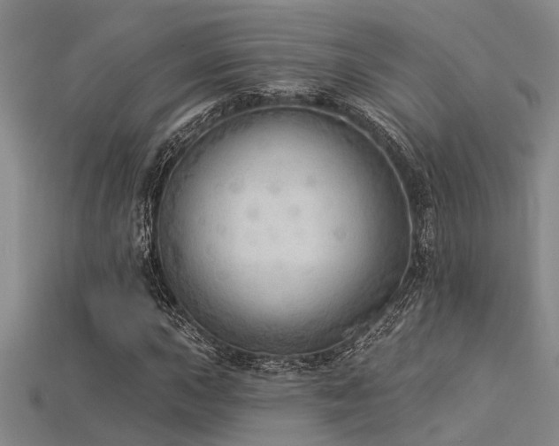 X0000115851015200911131547