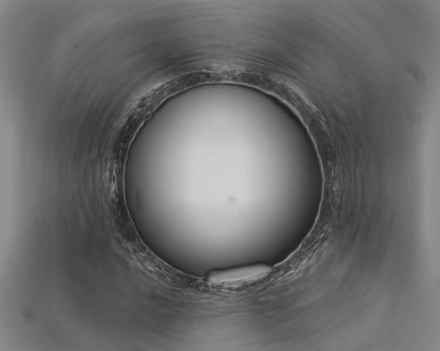 X0000115851016200911131547