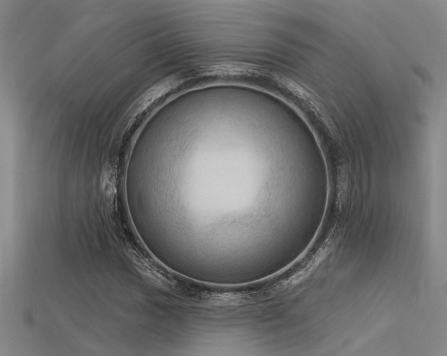 X0000115851017200911131547