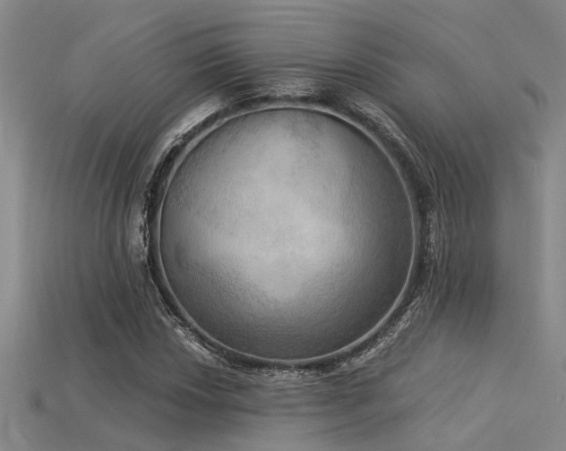 X0000115851018200911131547