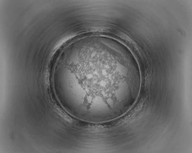 X0000115851019200911131547