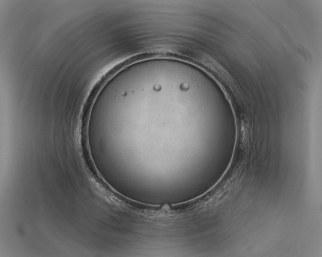X0000115851020200911131547