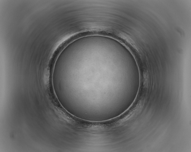 X0000115851021200911131547