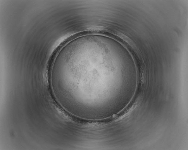 X0000115851022200911131547