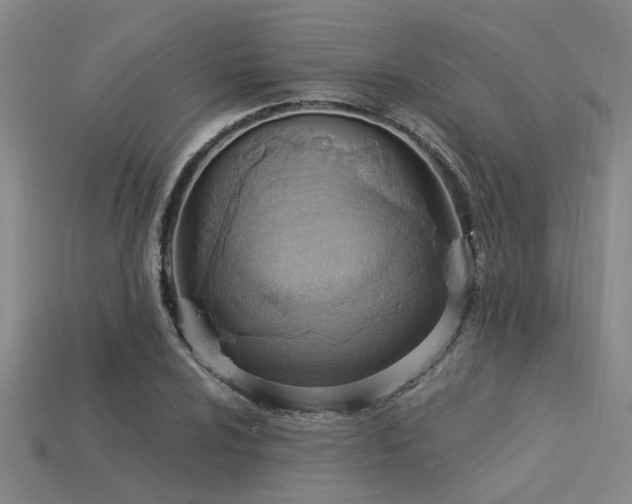 X0000115851024200911131547