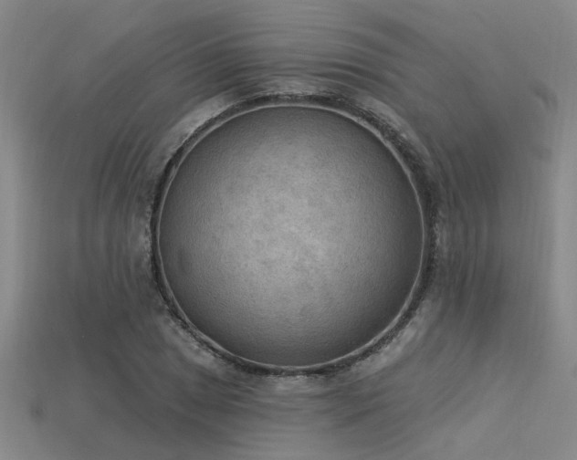 X0000115851025200911131547