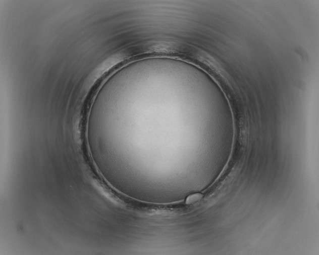 X0000115851026200911131547