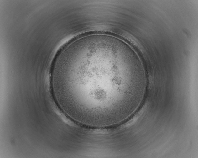 X0000115851029200911131547