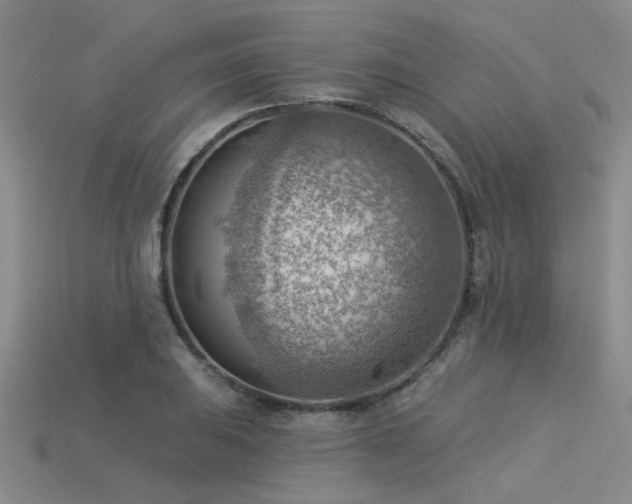X0000115851031200911131547