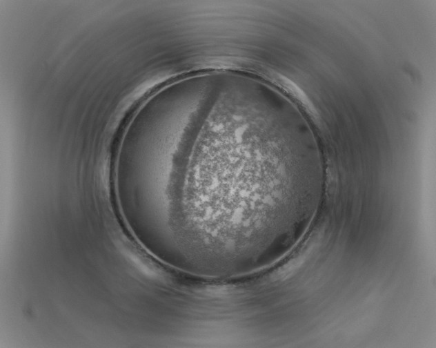 X0000115851035200911131547