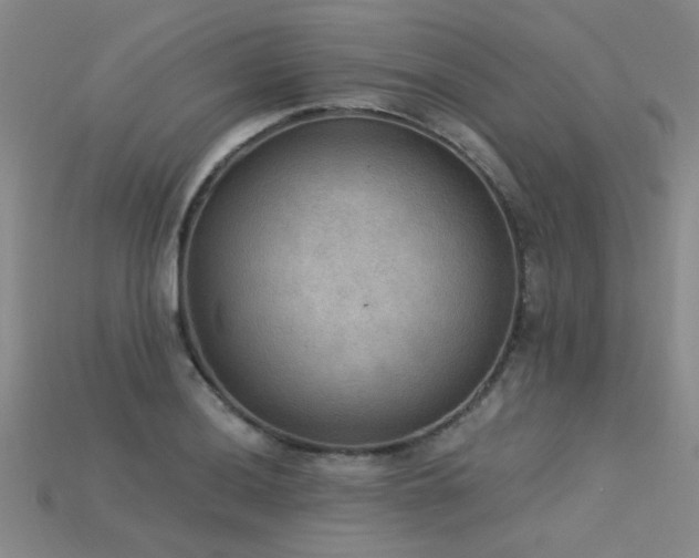 X0000115851036200911131547