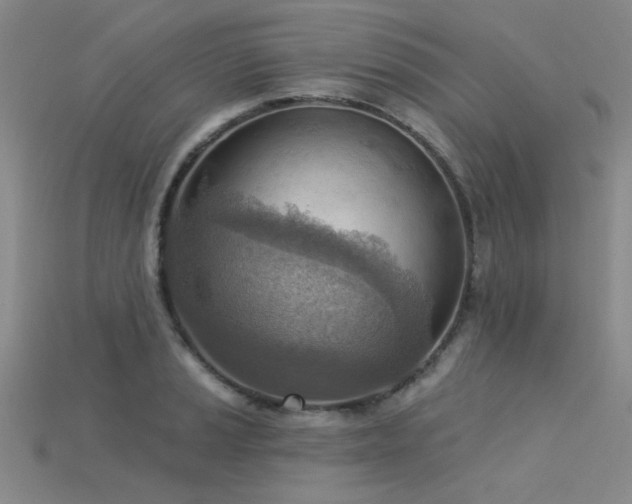X0000115851037200911131547