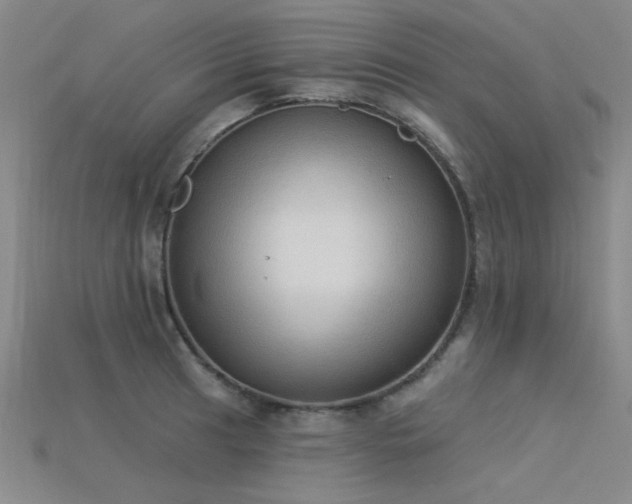 X0000115851041200911131547