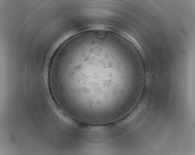 X0000115851043200911131547