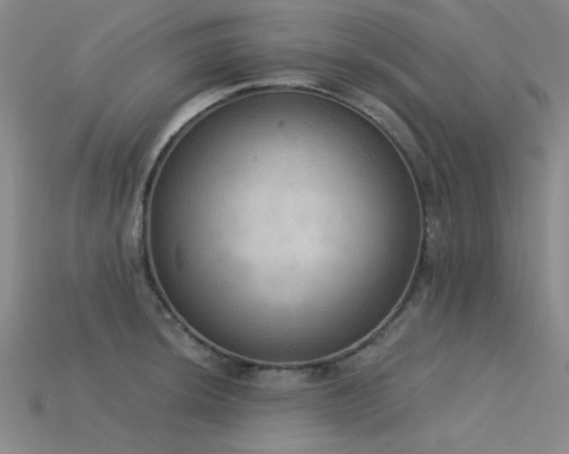 X0000115851044200911131547