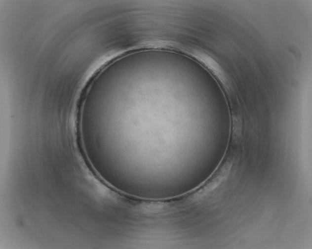 X0000115851046200911131547