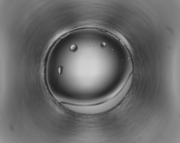 X0000115851051200911131547