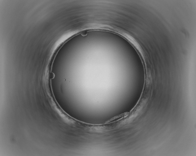 X0000115851053200911131547