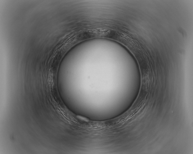 X0000115851058200911131547
