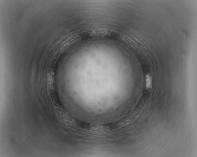 X0000115851059200911131547