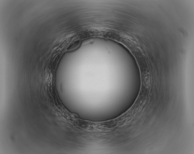 X0000115851061200911131547