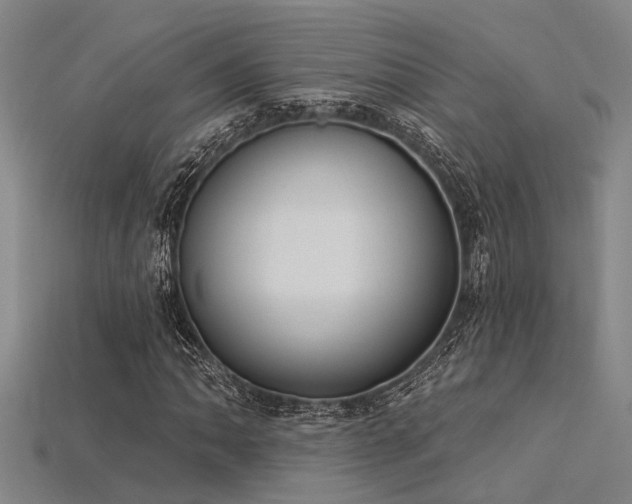 X0000115851062200911131547
