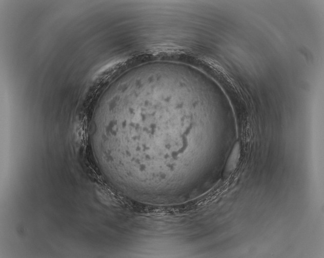 X0000115851063200911131547