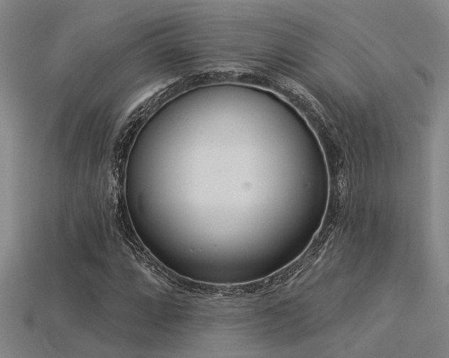 X0000115851064200911131547