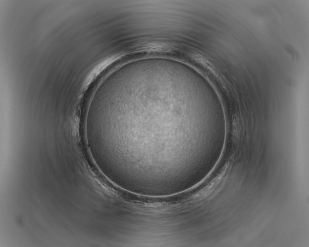 X0000115851066200911131546