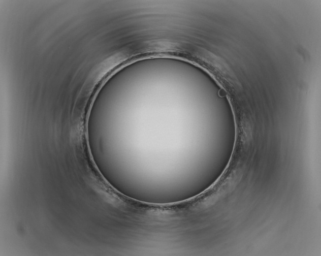 X0000115851073200911131546