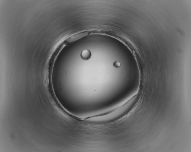 X0000115851075200911131546