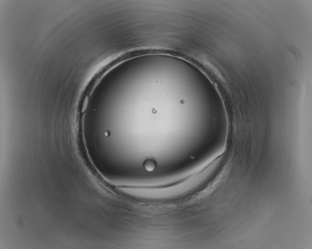X0000115851077200911131546