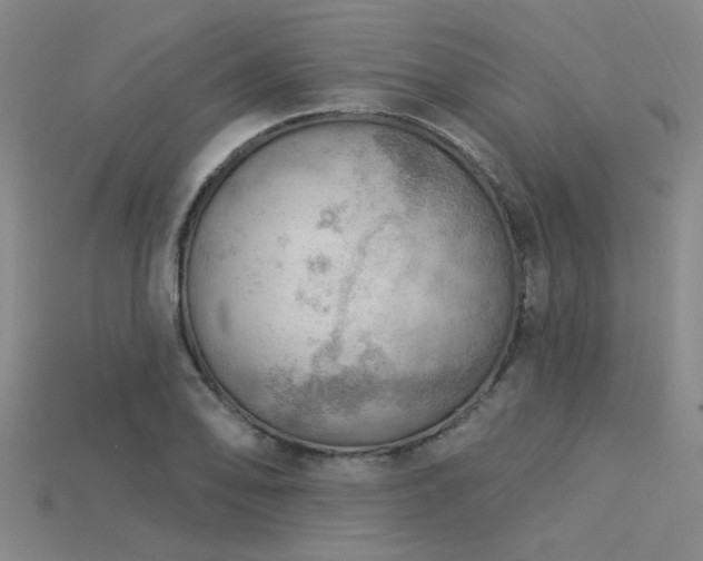 X0000115851078200911131546