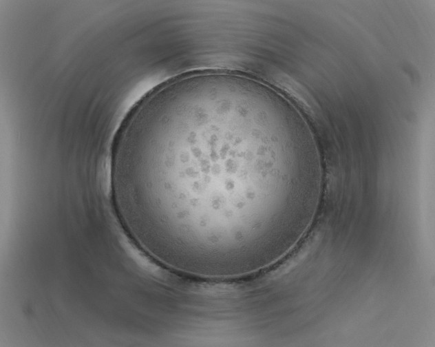 X0000115851079200911131546