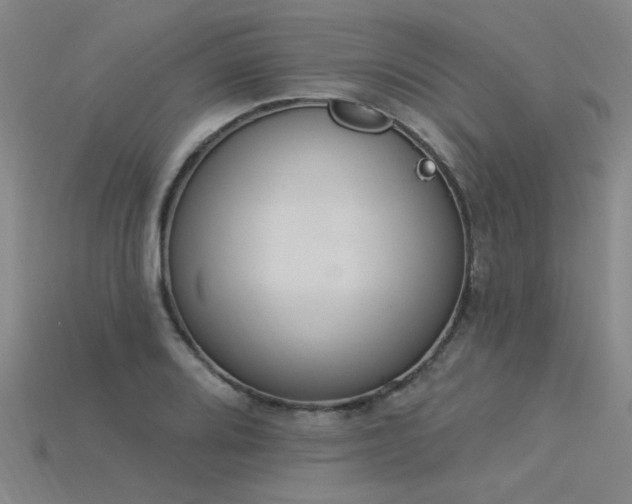 X0000115851080200911131546