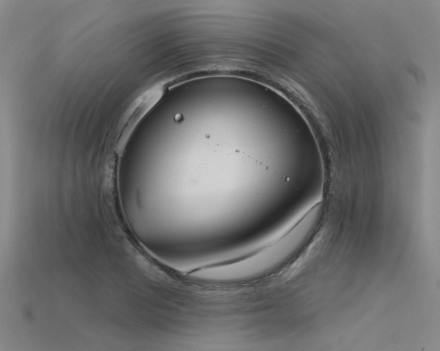 X0000115851081200911131546