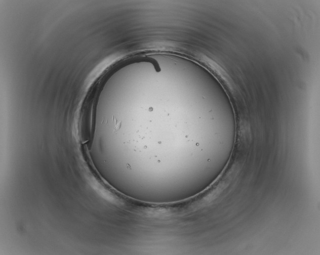 X0000115851082200911131546